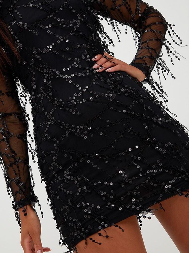 Long Sleeve Mesh Splicing Tassel Sequins Dress - DadHats2ow6ix